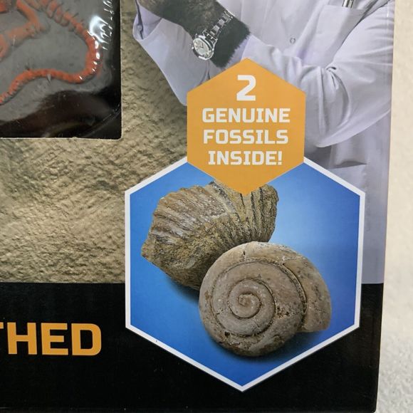 Discovery MindBlown Fossils Unearthed 2 Pack Mini Excavation Kit STEM Skill Kids - Picture 7 of 8
